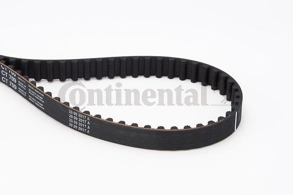 Timing Belt